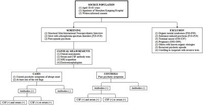 Autoimmune antibodies in first-episode psychosis with red flags: A hospital-based case-control study protocol